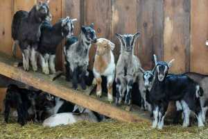 Photo Courtesy: Mary Dougherty