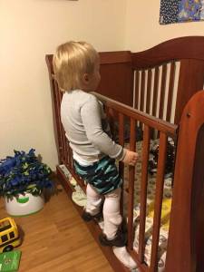 Future ice climber in the making! Watch-out Michigan Ice Festival 2025...