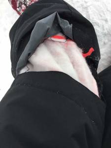 Crampon Casualty 2016.